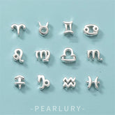 Zodiac Sign S925 Accessory For DIY